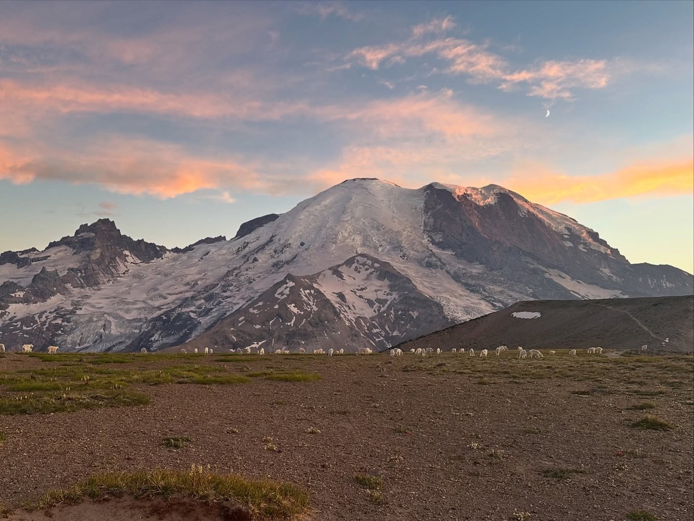Rainier 3