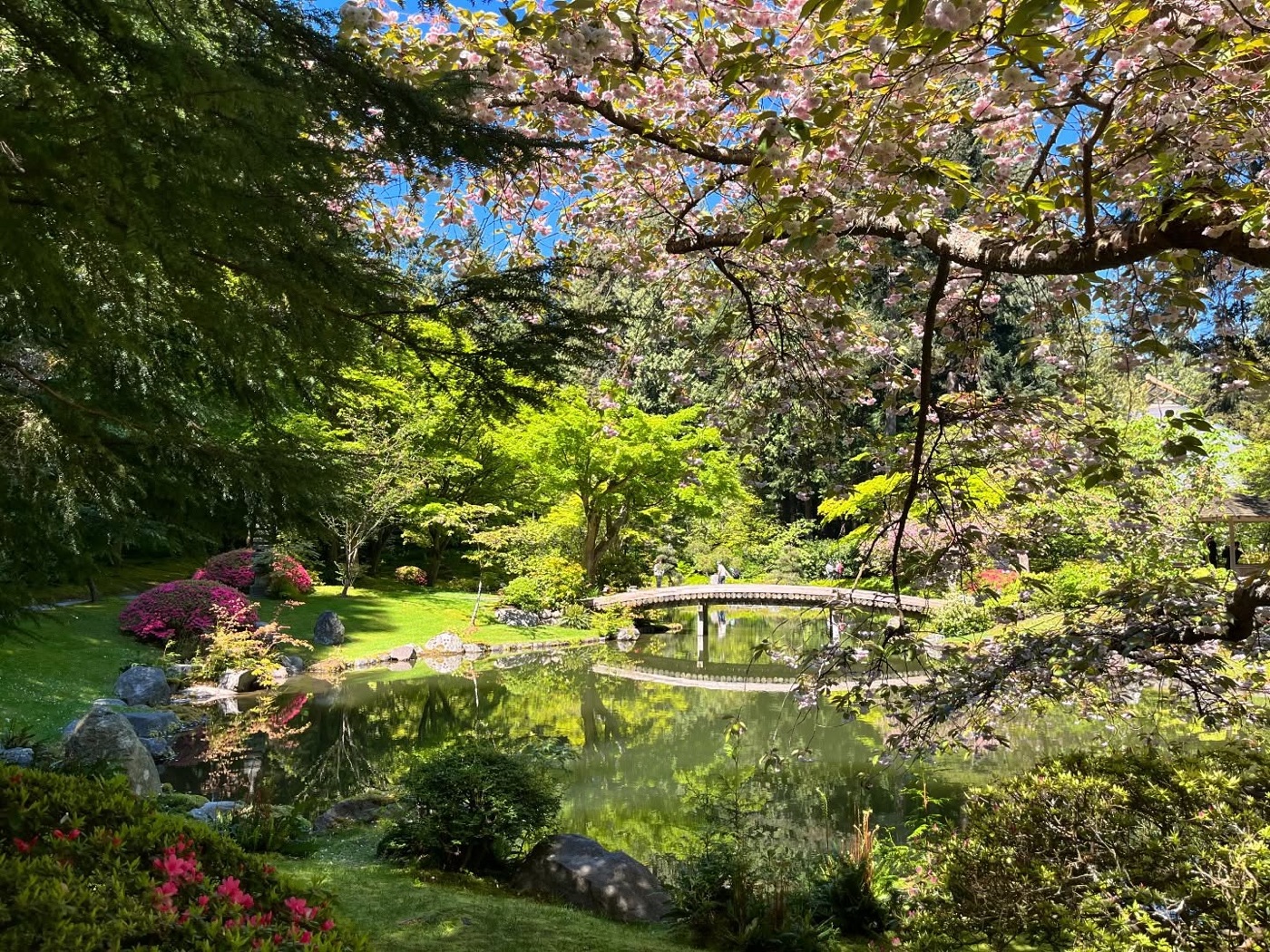 UBC